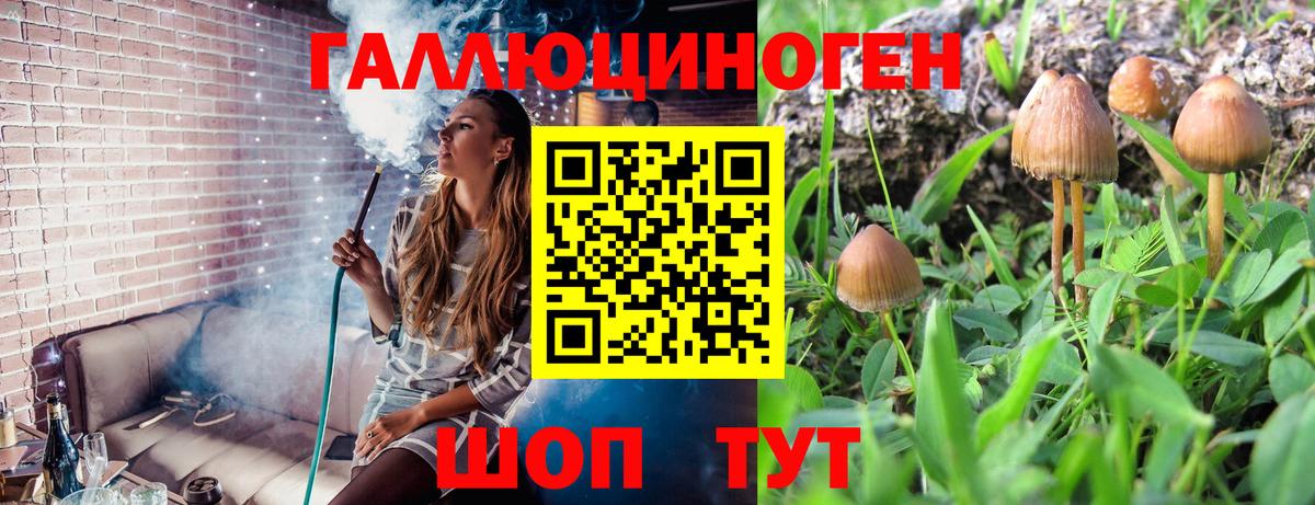 Галлюциногенные грибы Psilocybine cubensis  Вход с VPN  Северск 